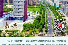 接轨大上海“嘉”速兴起来图片