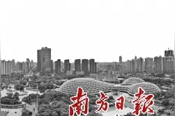 对标最高最优谋发展 打造佛山首善之区图片