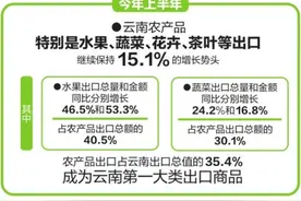 云南：世界一流“绿色食品牌”崛起图片