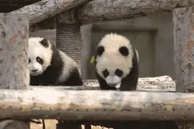 你怎么能这么可爱图片