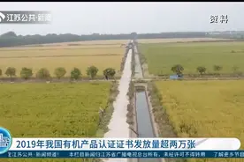2019年我国有机产品认证证书发放量超两万张，这些省份位居前六！视频封面