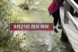 太危险！游玩时围巾掉入河中，大妈竟翻桥下河去捡…图片