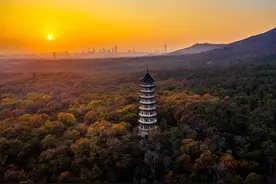 秋日紫金山，此刻苏醒图片