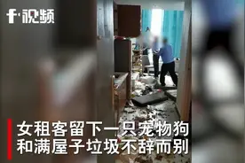 女租客“失联”：留下一条“二哈”、满屋垃圾！房东傻眼了图片