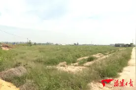漳浦赤湖：服务大项目 推动大发展图片