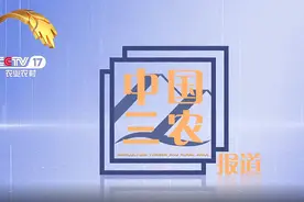 传媒湃｜CCTV-17改版升级，“三农版”新闻联播上线图片