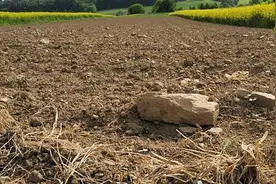 自然资源部通报18起重大典型违法违规案件 多涉及违法占地图片