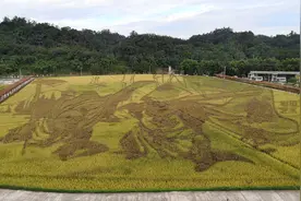 鸭子变身“管护员”、沼液管网铺进田……这里正在探索“零碳农业”图片