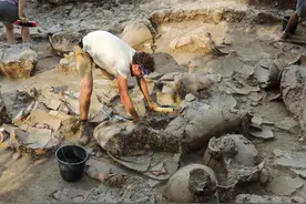 一座有3700年历史的迦南宫殿为何遭到弃置？研究人员在以色列花费数年寻找证据图片