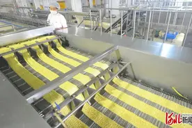 河北县域特色产业振兴擂台赛——隆尧：打造北方食品产业聚集区图片