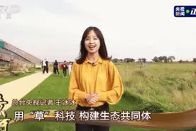 央视美女记者火了！伲青浦的呢？来啦图片