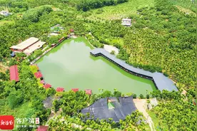 保亭农旅融合促进乡村旅游发展 农家乐兴乐农家图片