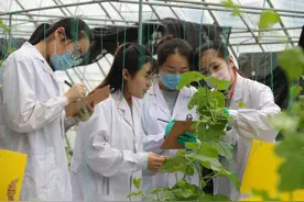 每日一词∣研究生教育 postgraduate education图片