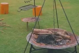火了！上海这些“隐秘的角落”绝对满足你对世外桃源的向往！乘公交直达图片