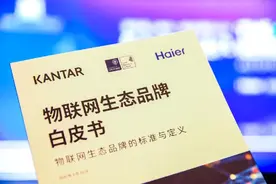 解构海尔物联网生态品牌：可复制与不可复制图片
