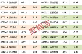 「主力资金」超500亿资金出逃，科技龙头流出资金超12亿元图片