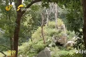 “塌了才会修”？泰安几处文化遗迹未得到很好保护图片