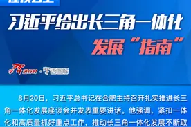 数据看中国｜高端芯片、《黑神话：悟空》……长三角凭啥培育出这么多“爆款”？图片