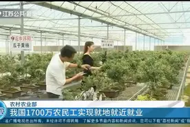 农村农业部：我国1700万农民工实现就地就近就业视频封面