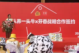 芬香助推奶企营销新方向：求购好奶 不如认养一头奶牛图片