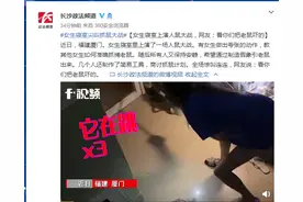女生寝室上演人鼠大战，网友：看你们把老鼠吓的图片