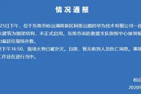 东莞松山湖管委会：起火建筑未正式启用，现场火势已扑灭图片