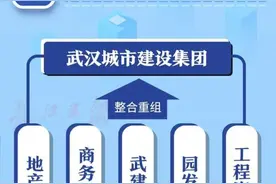 32家国企重组为13家，武汉新一轮国企改革拉开序幕图片