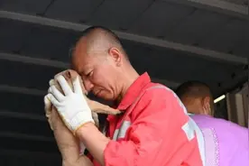 敬畏生命！上海古寺僧人用27年救助超4500多只流浪动物视频封面