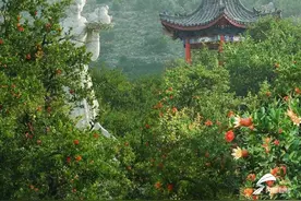 2020年枣庄市委理论学习中心组读书班现场教学「十一」｜枣庄峄城区前六个月全区生产总值增长3.0% 居全市第一图片