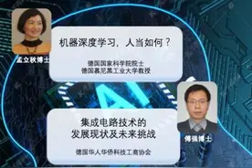 德国华侨华人科技工商协会办云论坛 收获各界好评图片