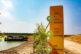 沧州：田园风光无限好 走进正大宠物文体小镇图片