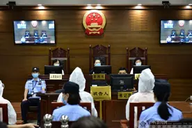南宁：4人因非法买卖产妇和新生儿信息受审图片