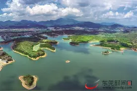 东莞市林业局发布国庆森林与湿地公园游玩指南图片
