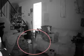 半夜3点狗狗发出狼嚎般吹狗螺声音 主人调视频监控惊闻神秘女童声音图片