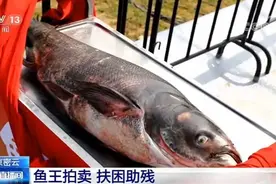 鱼王拍卖扶困助残 北京密云多场精彩活动令人目不暇接图片