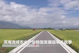 洱海流域农业产业转型发展迎来丰收季视频封面