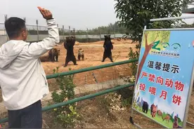你的美意动物承受不住，这个动物园出规定：严禁游客携带月饼入园图片