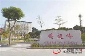 莞村小康路⑥｜大岭山鸡翅岭村：莞香传承六百年，重振“香村”启新程图片