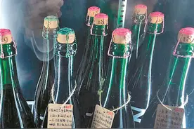 冰城酒圈儿刮起精酿啤酒风图片