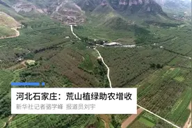 河北石家庄：荒山植绿助农增收视频封面