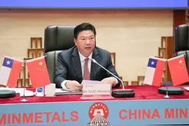 国文清出席中智企业家委员会线上圆桌会议图片