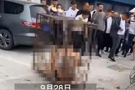 又见“婚闹”？网传“小伙结婚只穿内裤被关铁笼浇绿漆”，网友怒了图片