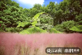 景区道路一到假日就很堵 10月1日起杭州这些地方放大招了图片