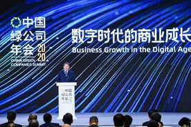 宁高宁：真正国际化不是企业的国际化，而是中国在国际上地位提高图片