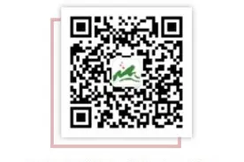国庆玩转橘子洲玩？这份最全游玩攻略请收下图片