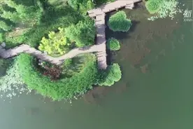 秦皇岛拓园：昔日大水坑 今日生态园视频封面