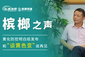槟榔之声 | 专访中国热带农业科学院椰子研究所副所长覃伟权图片