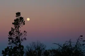 中秋节：边赏月边学月亮短语图片