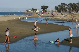夏天的尾巴图片