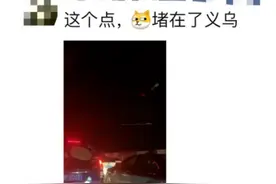 “高速有多堵”登上热搜！有人天黑就出门，还是在高速堵了个通宵图片